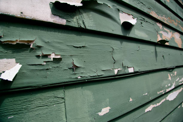 Best Historical Building Siding Restoration  in Globe, AZ